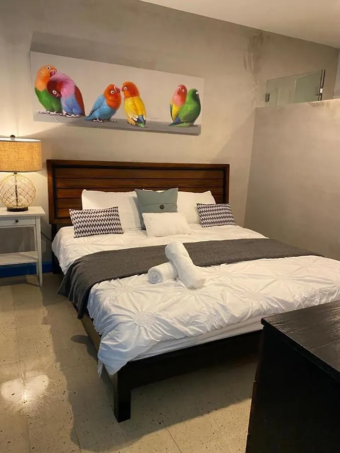 Guest house 1113 Piccioni Hotel San Juan